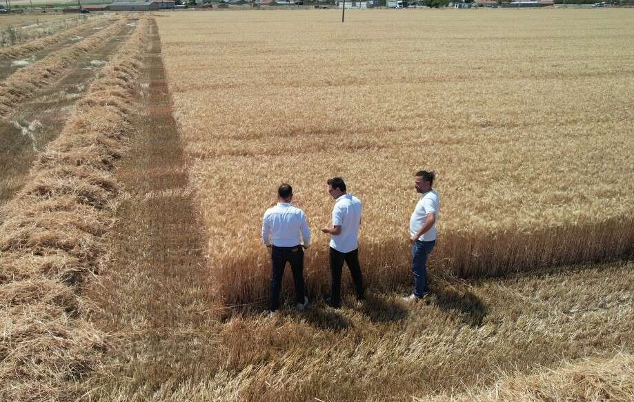Türkiye’nin tahıl ambarı Konya’da altın başaklar çiftçiye bayram ettirdi 8